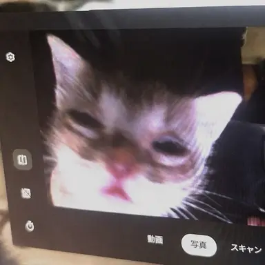 Profile image of ニンニン