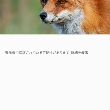 Profile image of キツネ