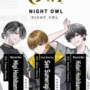 Profile image of Night Owl
