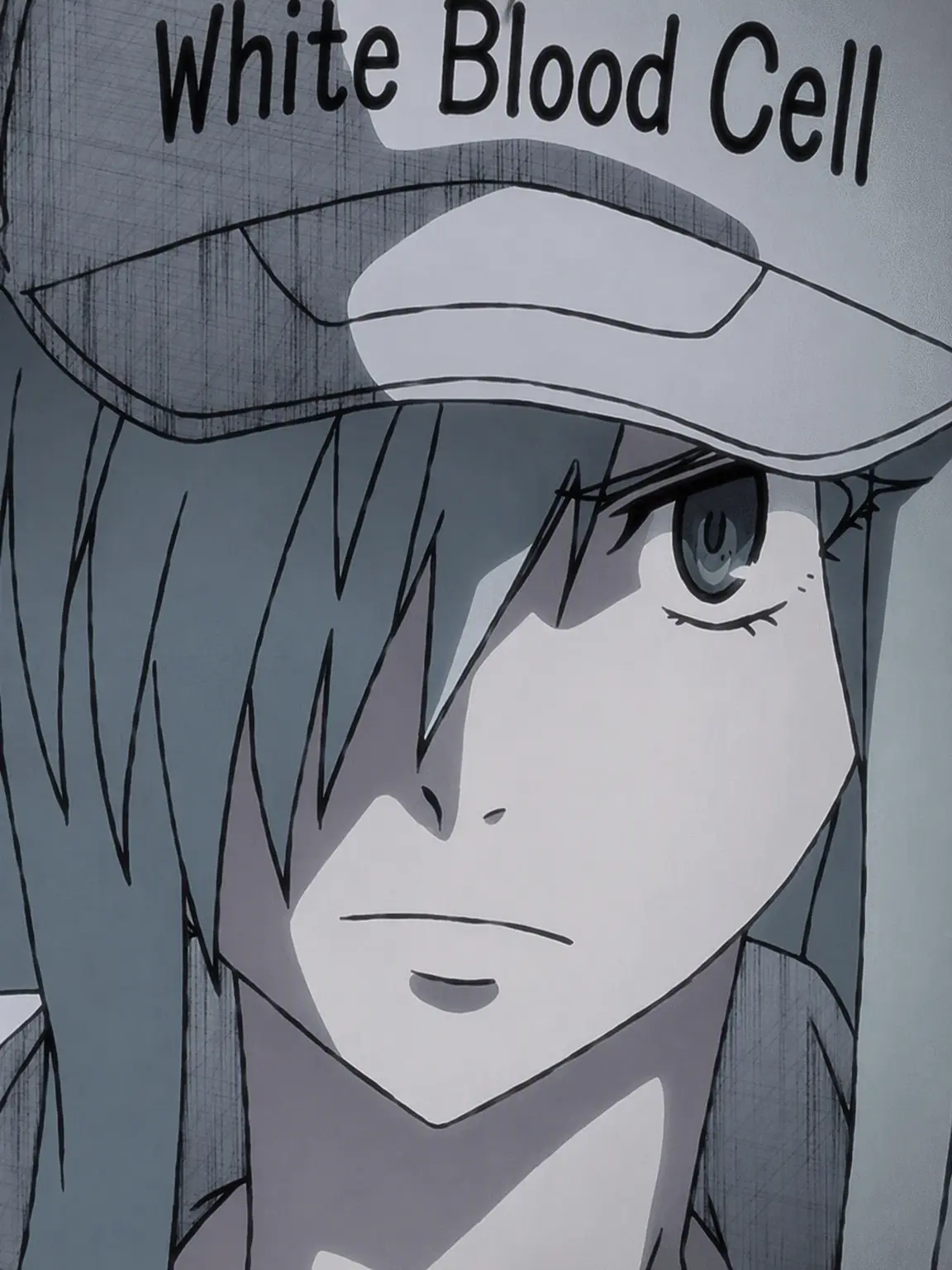 SnugZokor2836의 White Blood Cell!!