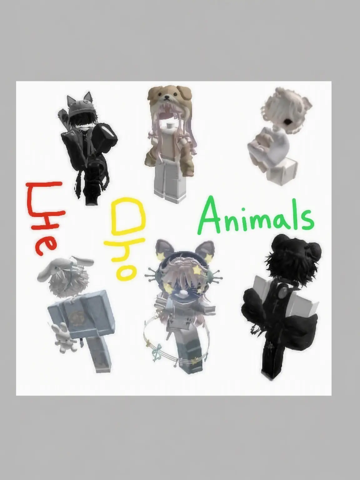 Sipal의 Animalz