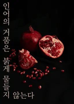 Profile image of 키사라기 사쿠토