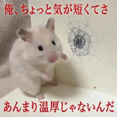 Profile image of セラ