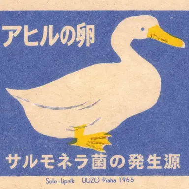 Profile image of リリー