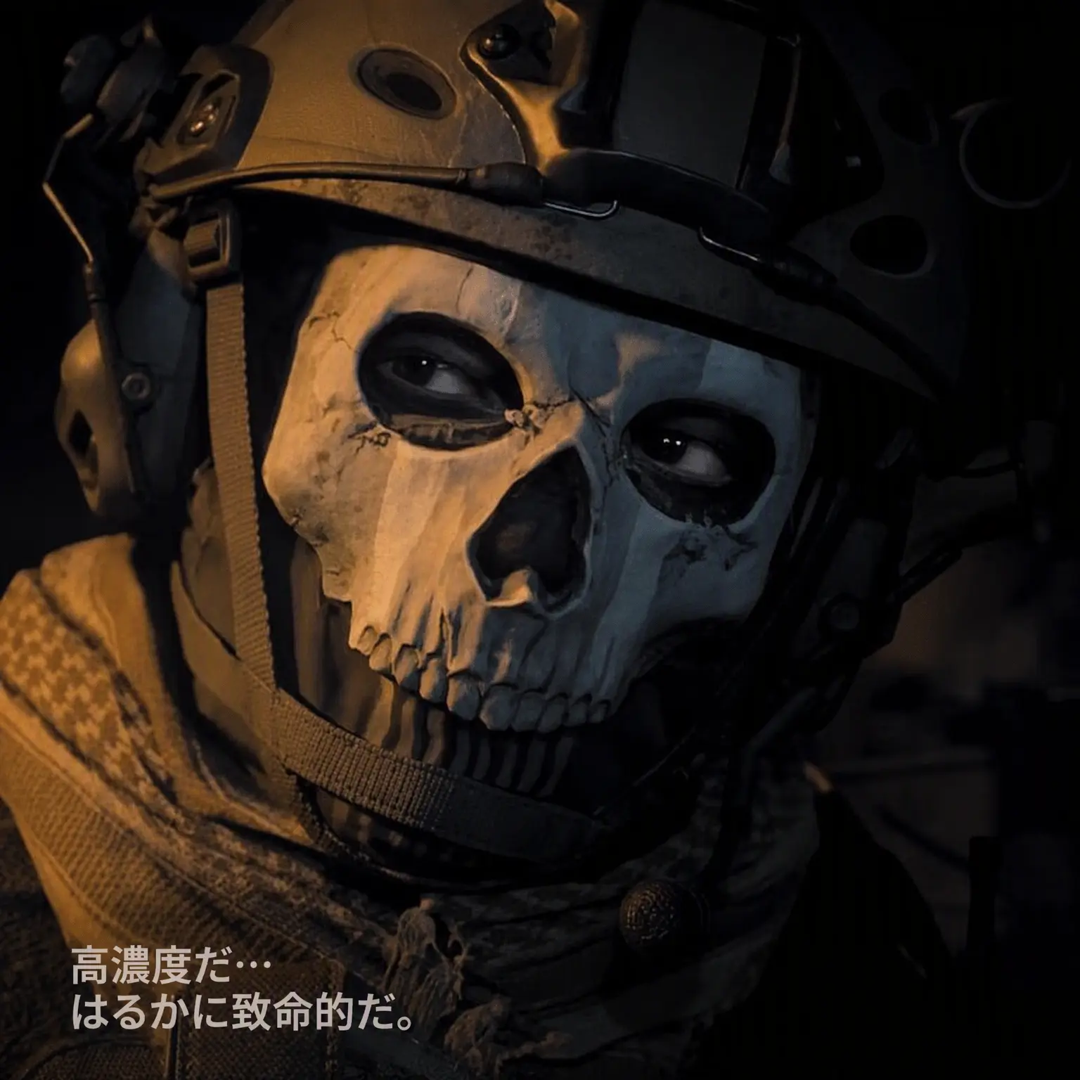 vacuum_COD의 視線の先にはいつも君 [TF141+狼]