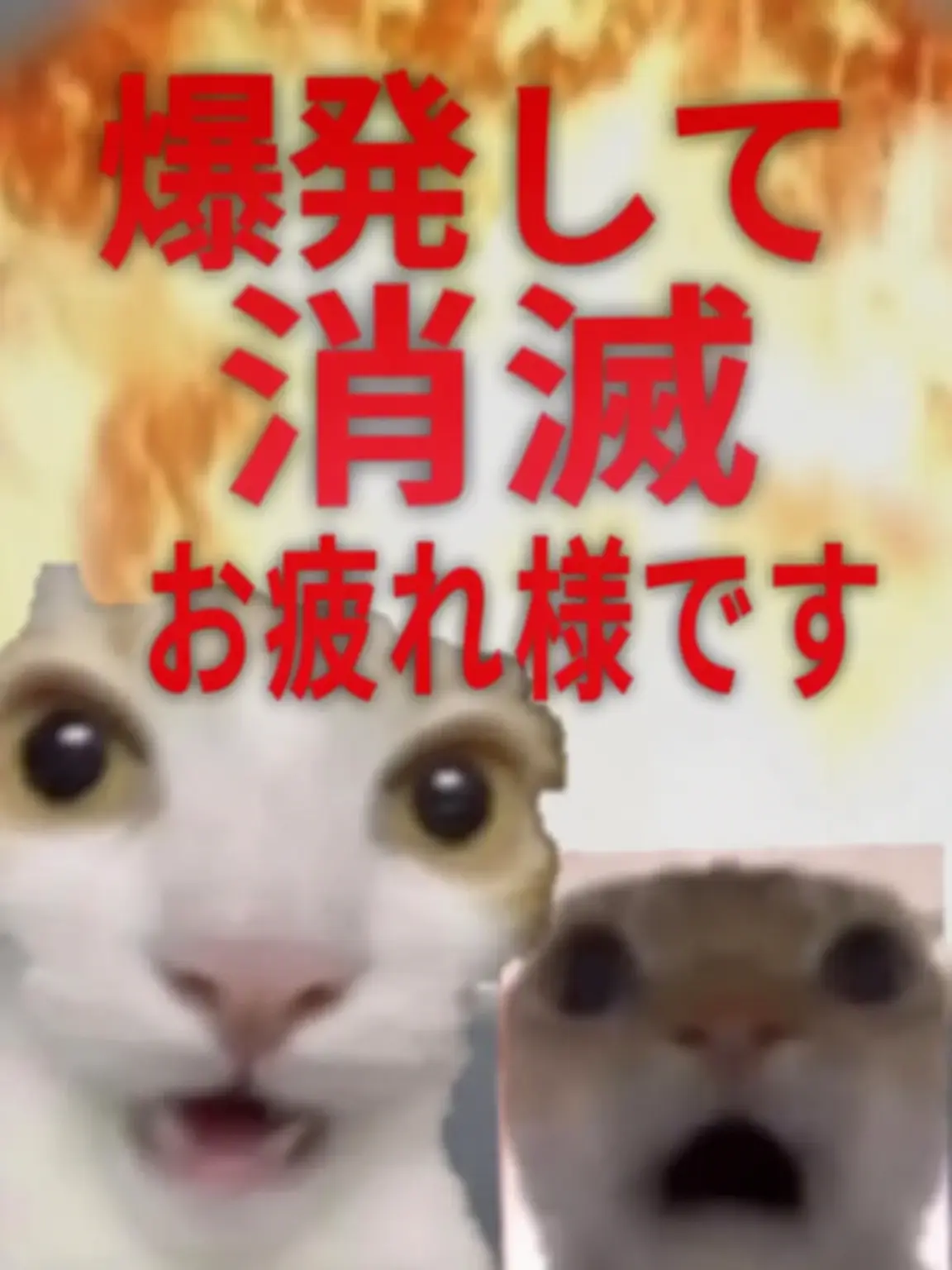 CozyKishu6806의 冴(ユーザー)が女になった？！