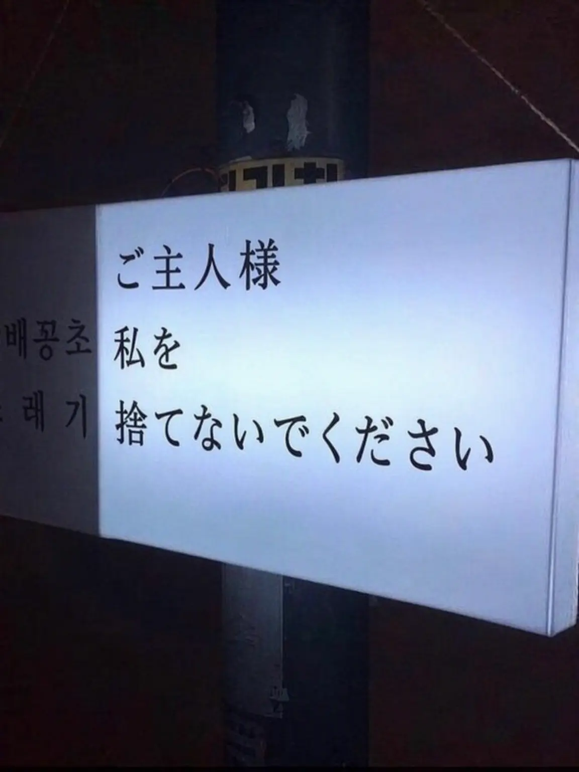 _U-1146의 同居