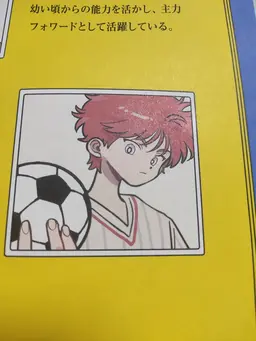 Profile image of チェガル・スンリ