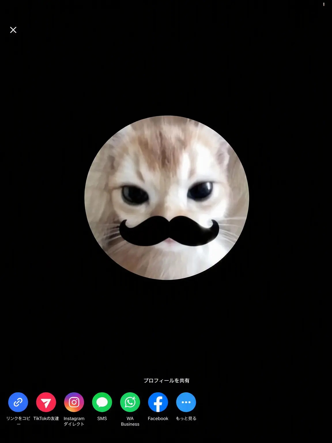 _sozen의 TikTok界の伝説たちが現れた。