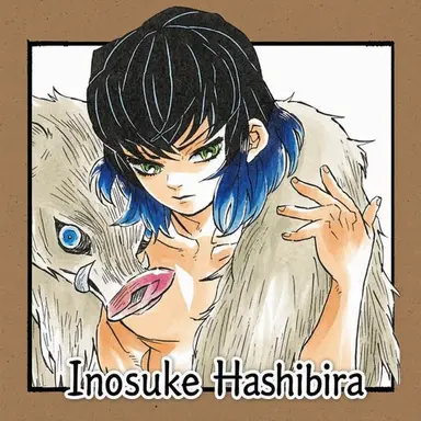 Profile image of Inosuke Hashibira