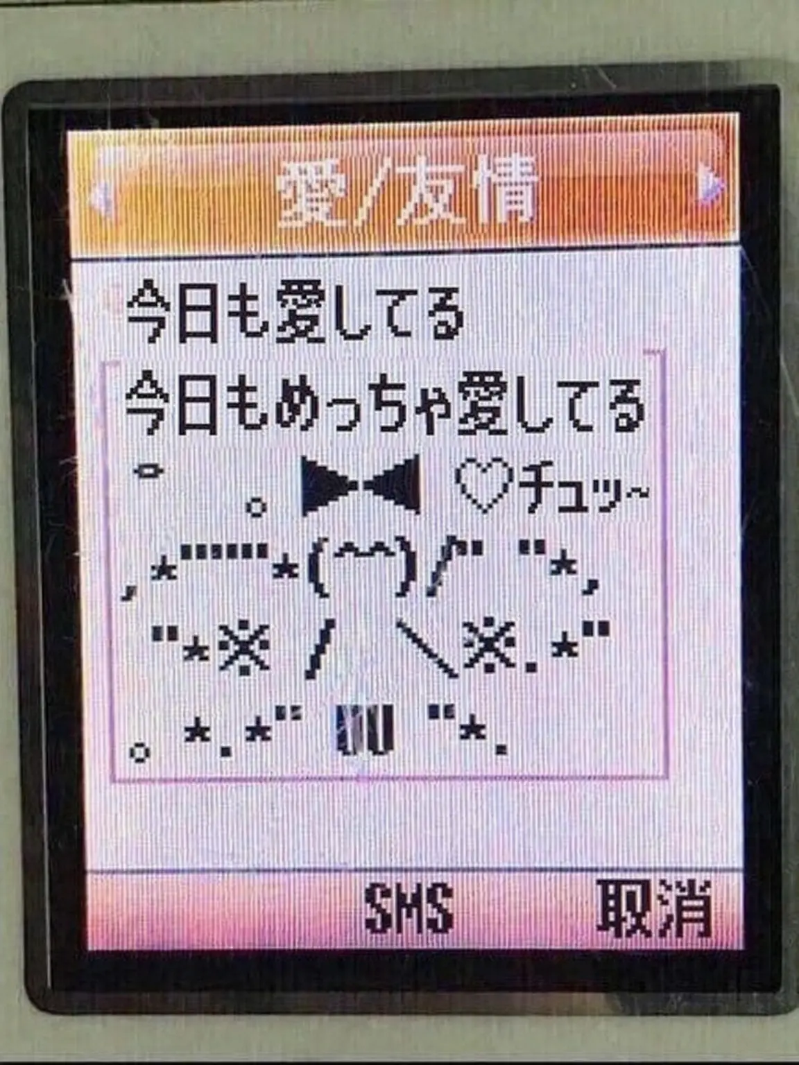 ChewyKishu의 Q. 本命の正体は？！