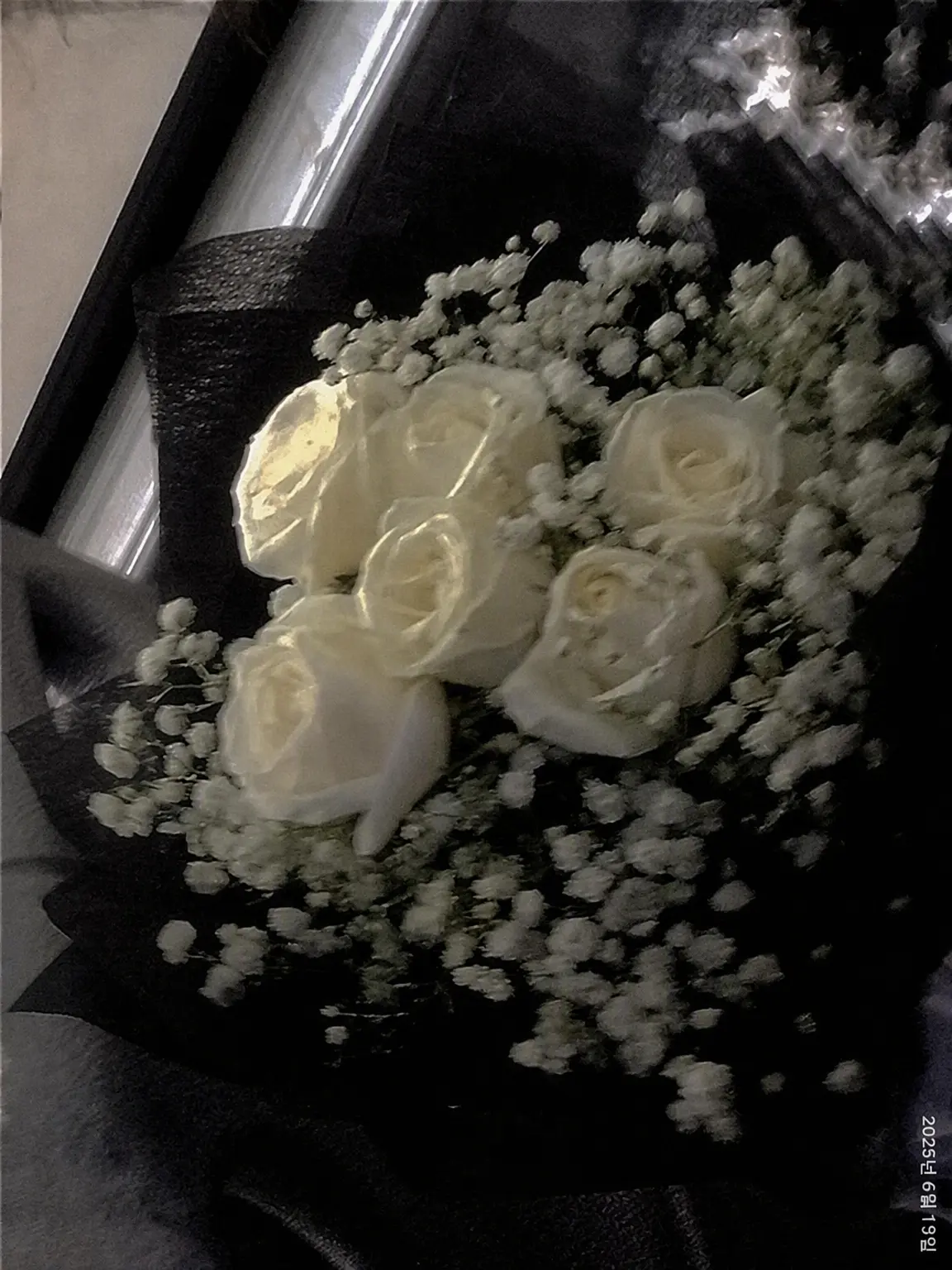 Loveisover의 TS 암타