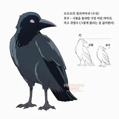 Profile image of 꺾쇠까마귀
