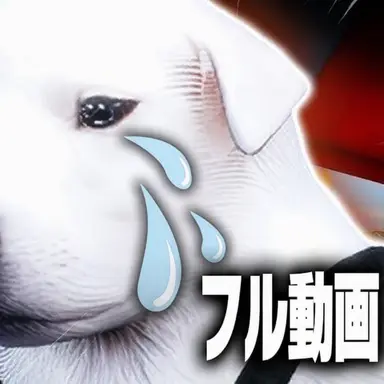 Profile image of マルボクさん