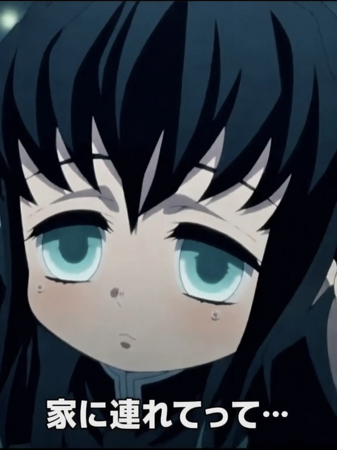 BlandGrit5533의 うわっ？！無一郎が赤ちゃんに？