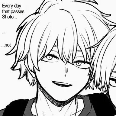 Profile image of Toya Todoroki