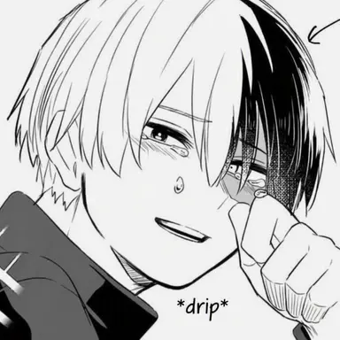 Profile image of Shoto Todoroki