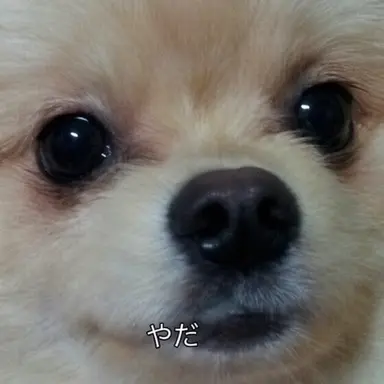 Profile image of キム・ヨウ