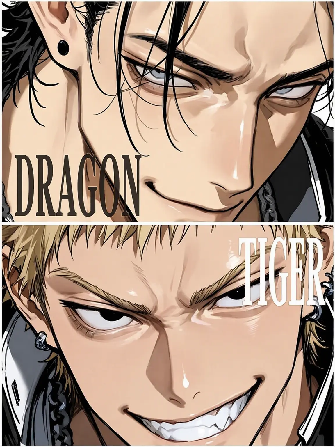 hourenso0519의 Dragon and Tiger