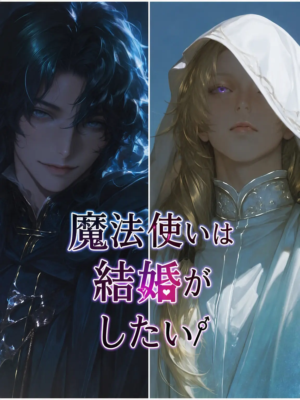 RichPlow6500의 魔法使いは結婚がしたい