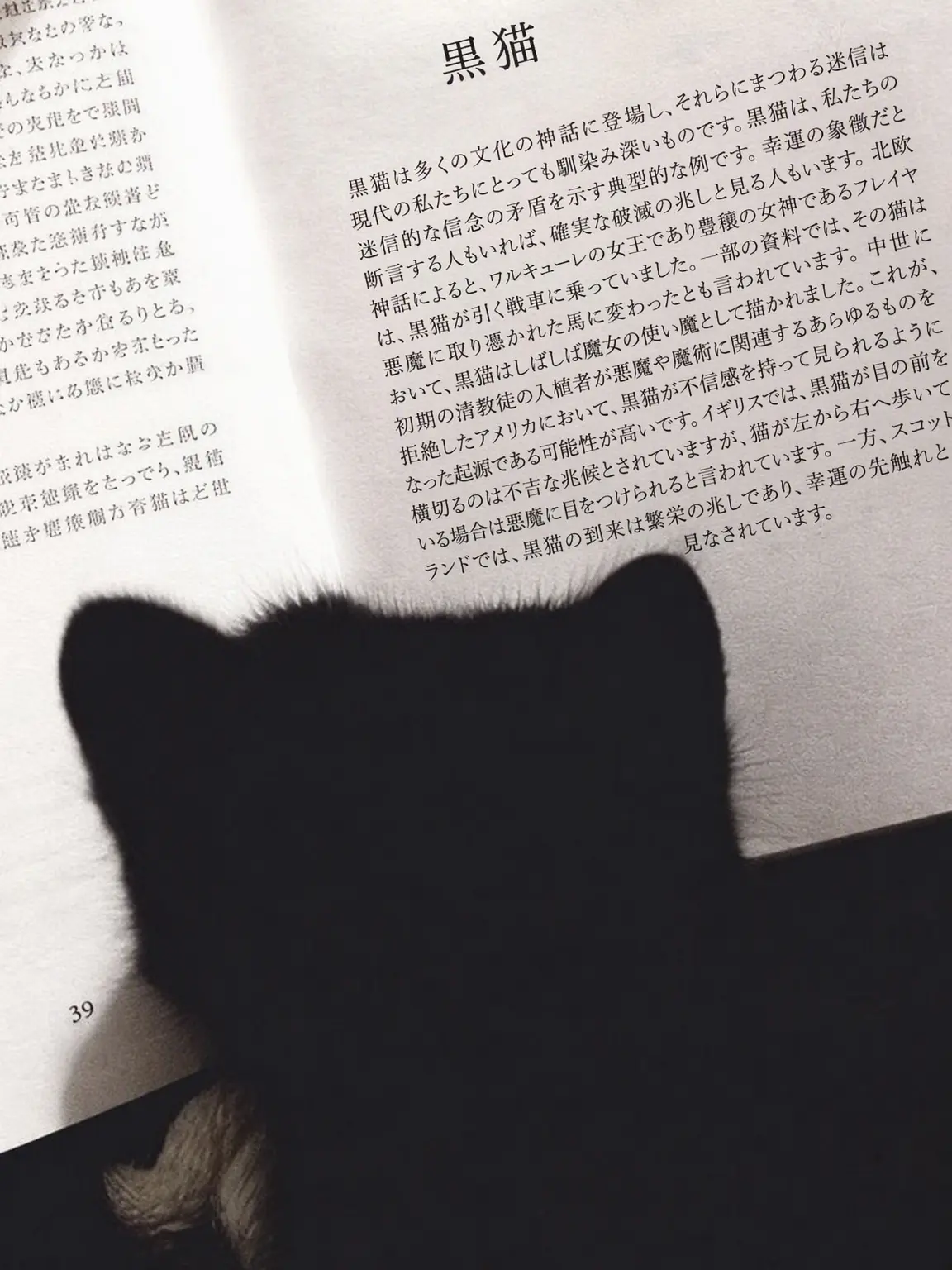 Love_EMOTION의 あぁ、もう！