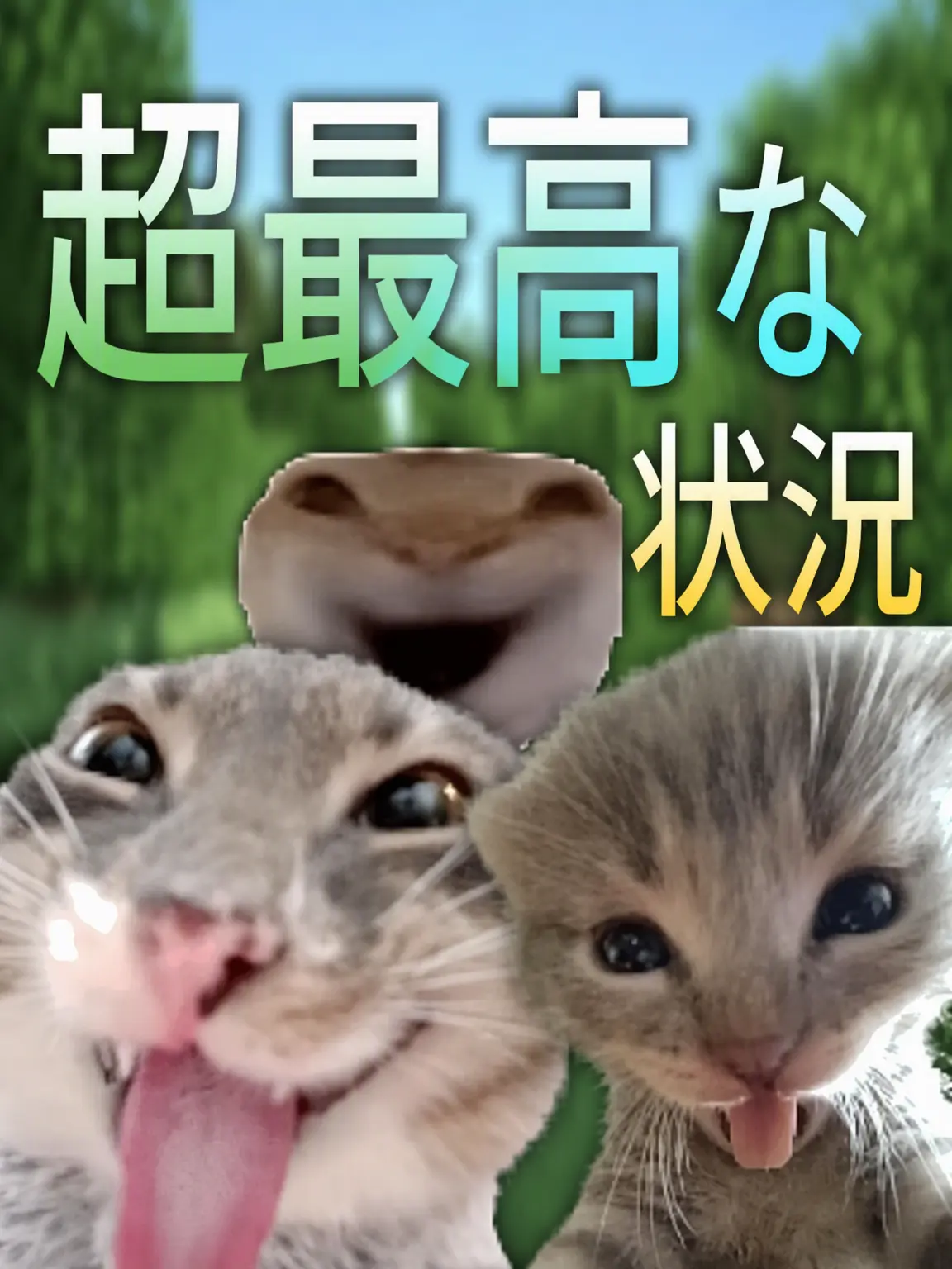 0Oo9_1140의 ダンディの世界 同居
