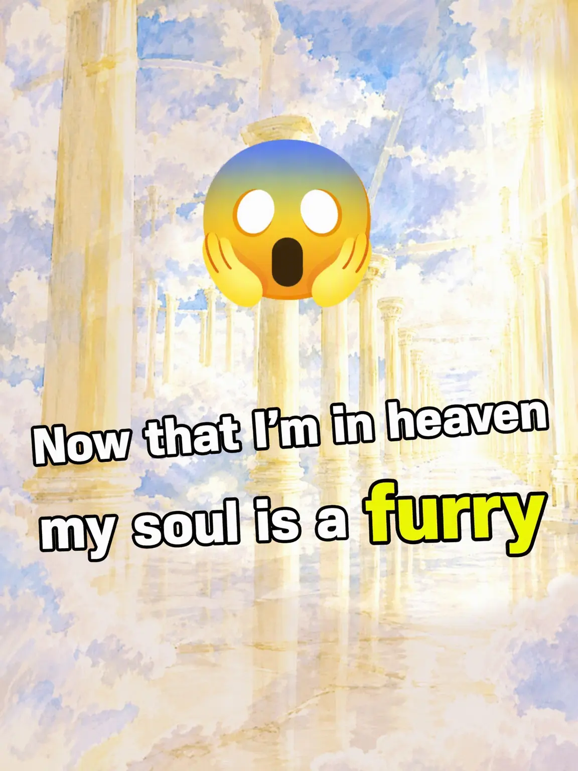 Just-A-User의 Furry Heaven?
