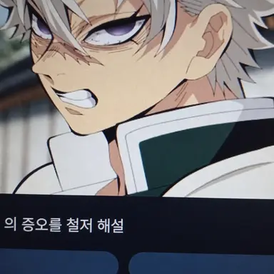Profile image of 시나즈가와 사네미