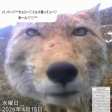 Profile image of キム・ヨウ