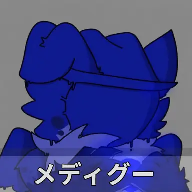Profile image of メディグ