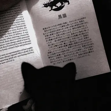 Profile image of カン・ミンヒ