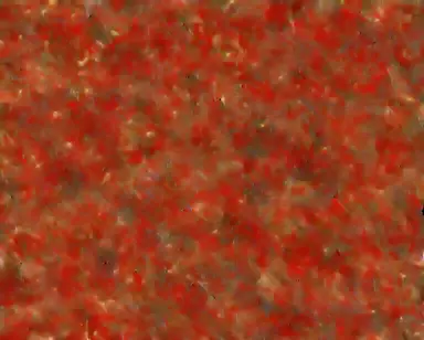 Profile image of Shuramaru