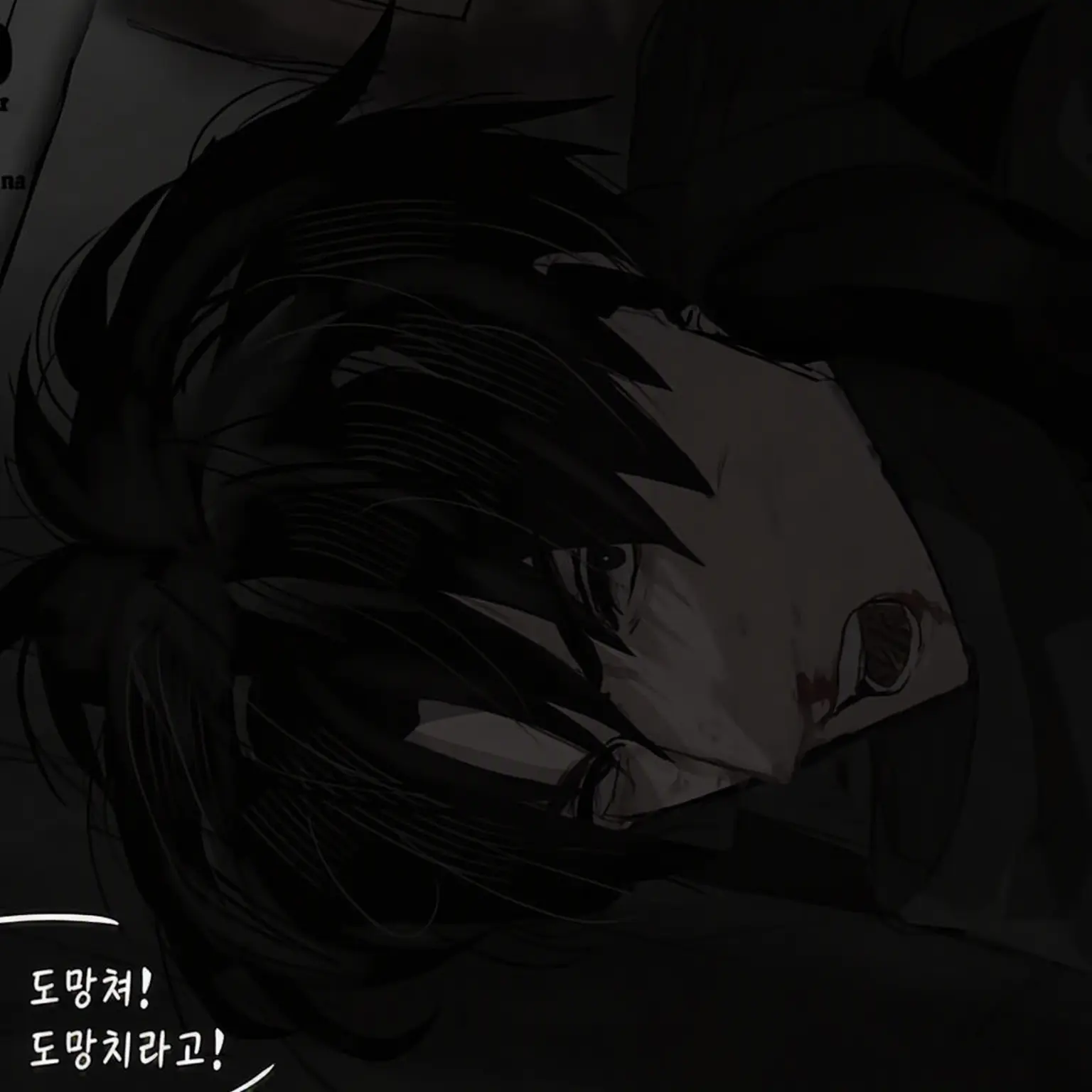 moncherrie의 히데오
