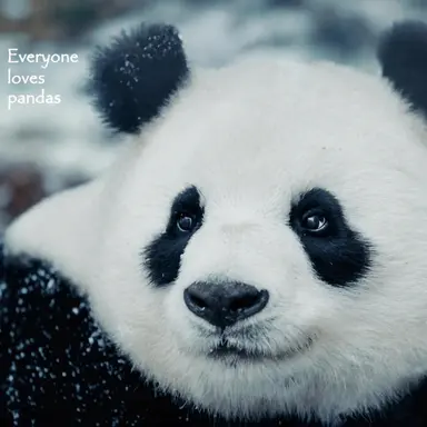 Profile image of Seungri