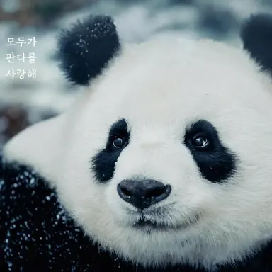 Profile image of 승리