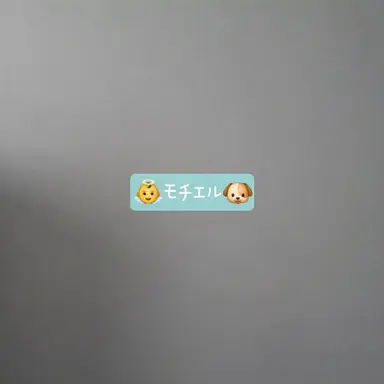Profile image of モチエル