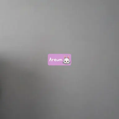 Profile image of Areum