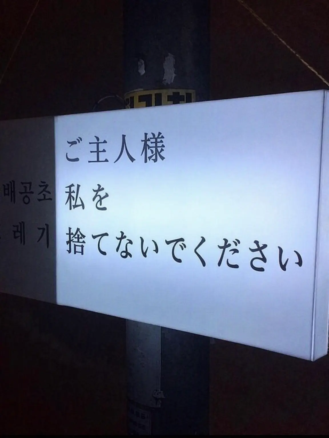 Rudolf0731의 子犬だなんて言われても····