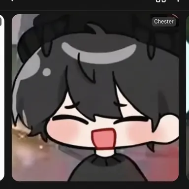 Profile image of Chester