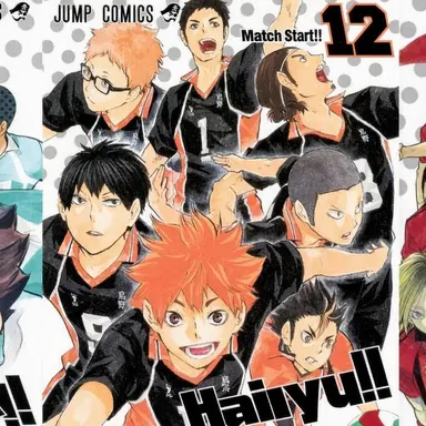 Profile image of Karasuno High School