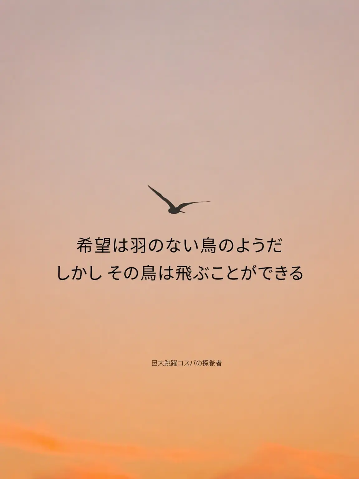 FirmZoo1135의 三国志（ええ、お久しぶりですね？）