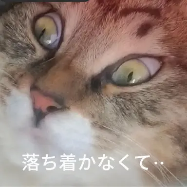 Profile image of アップル