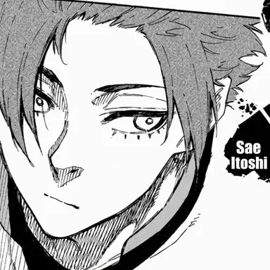 Profile image of Itoshi Sae