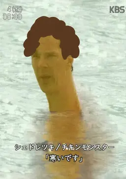 Profile image of シェドレツキー