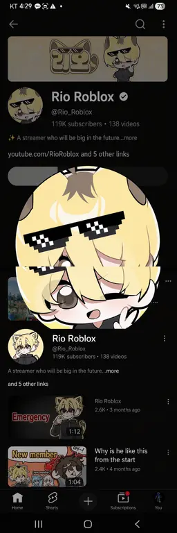 Profile image of Rio