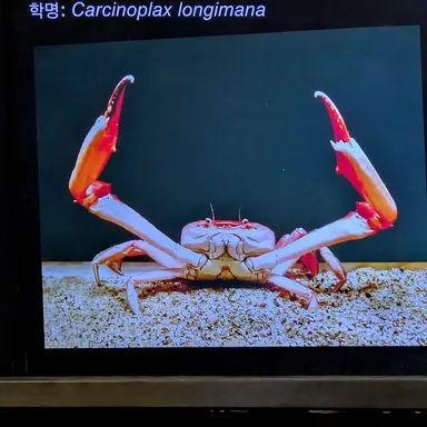 Profile image of 게