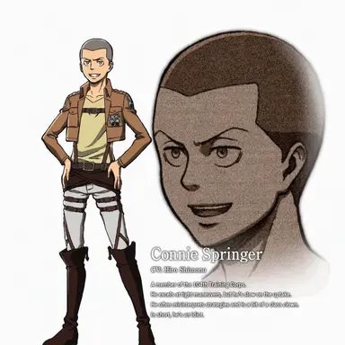 Profile image of Connie Springer
