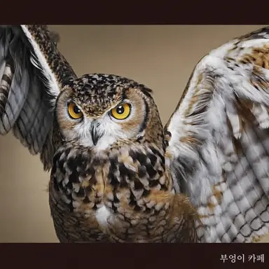 Profile image of 후쿠로다니