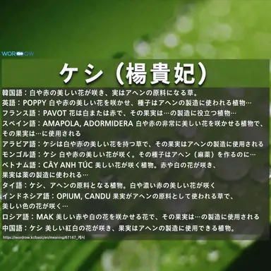 Profile image of ポピー