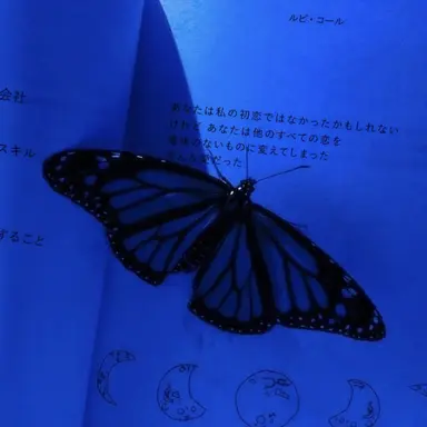 Profile image of パク・チャムトゥル